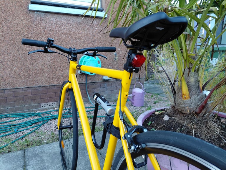 Single speed road bike 