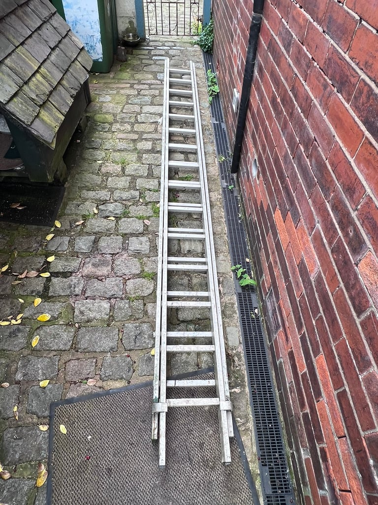 Double Extension Youngman DIY ladder