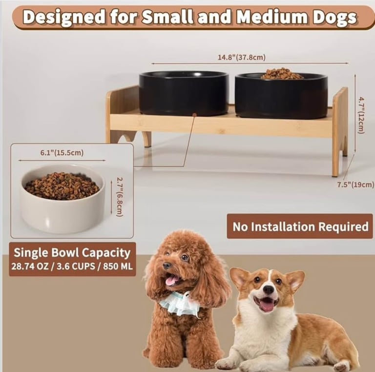 New boxed elevated dog car bowls on wooden bamboo stand 