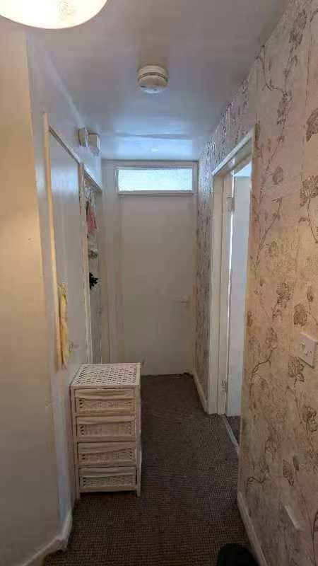 3 bedroom house to let