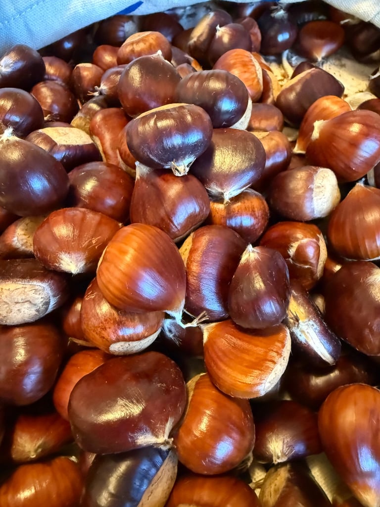 100% BRITISH RAW CHESTNUTS Naturally Ripen & Hand Picked 300g Ready to Cook