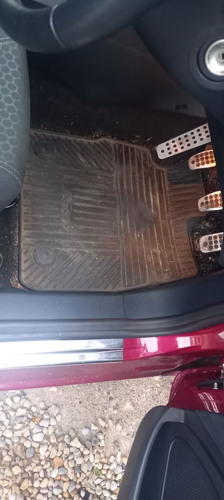 Ford fiesta mk7 and mk7.5 genuine ford front rubber floor mats 