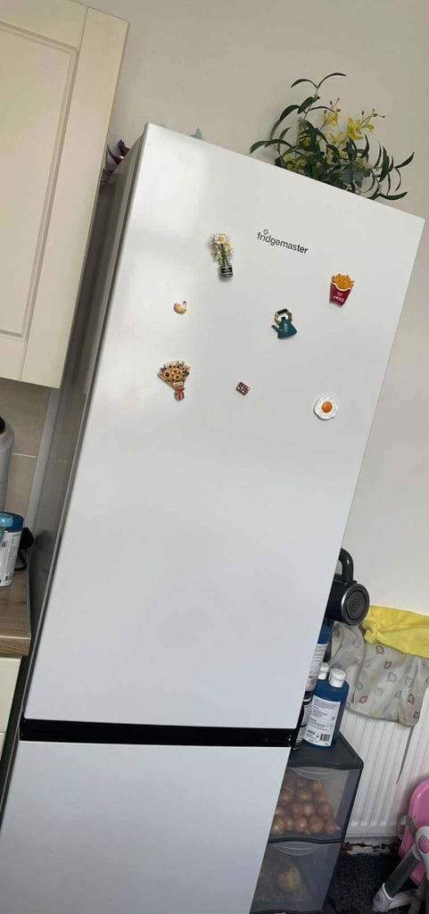 image for Fridge Freezer 