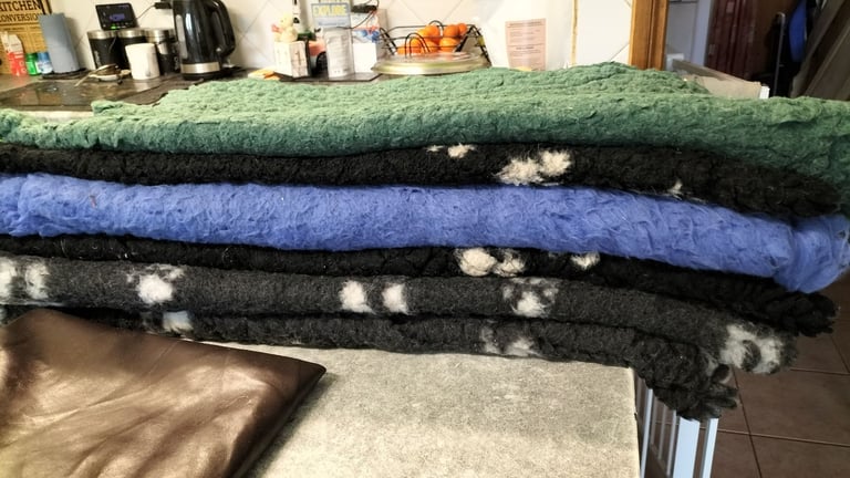 Various dog beds 