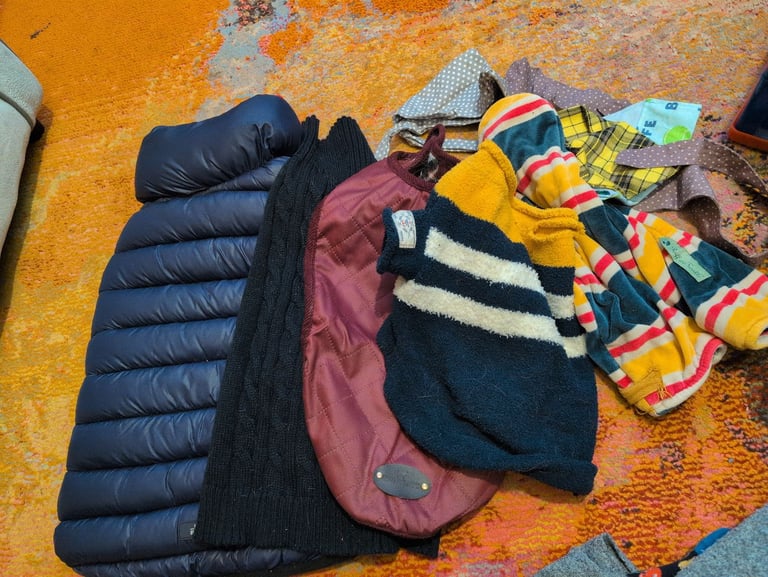 image for Assorted dog clothing 