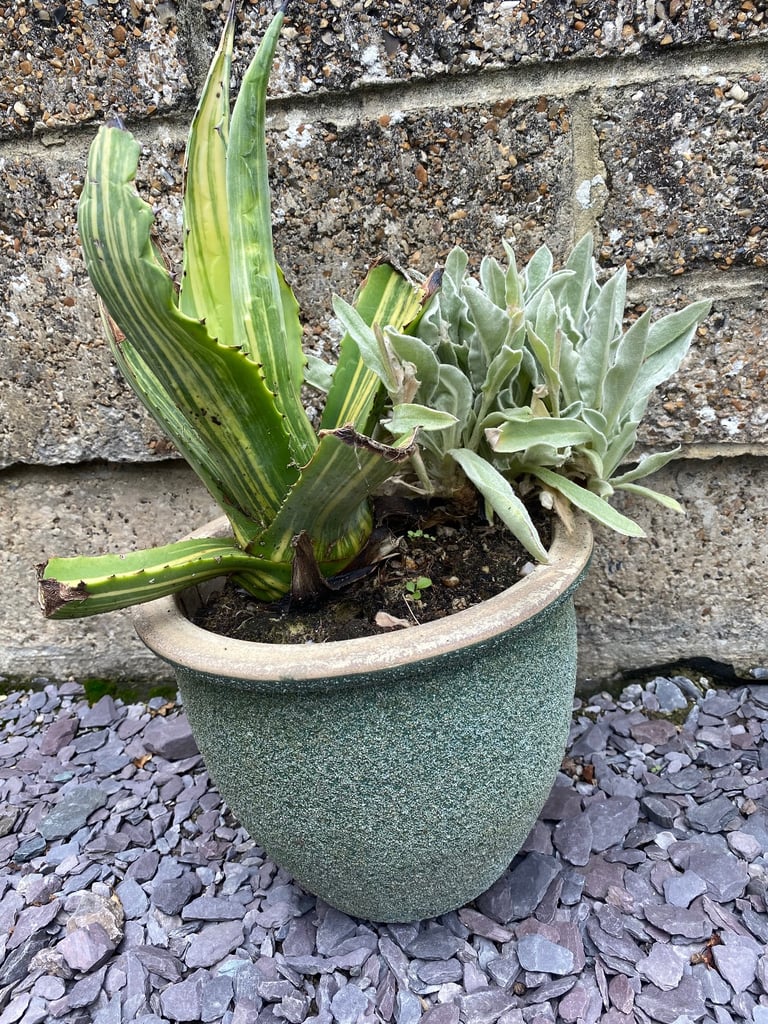 image for Green all weather garden pot with plants