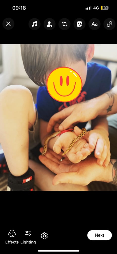 Reptile and invertebrate experience 