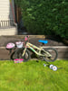 Children&#039;s Apollo Woodland Charm Bike