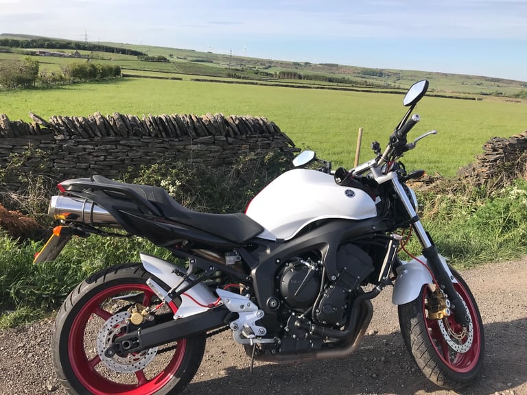 Yamaha, FZ 6, 2008, 599 (cc)