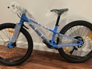 Kids mountain bike. - Specialized Riprock 24inch wheels