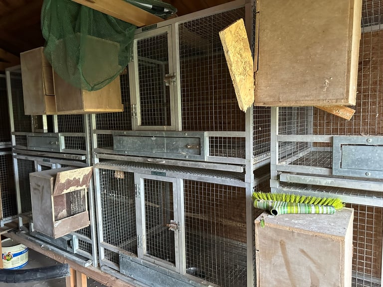 Breeding cages for sale no stupid offers 