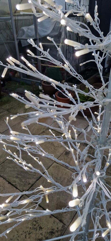 Indoor Outdoor Christmas tree.