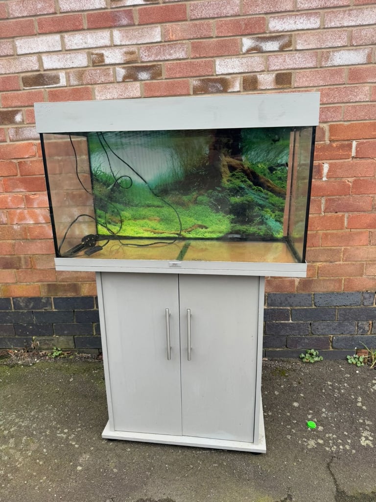 Juwel Rio 125 grey fish tank aquarium tropical setup delivery 🚚