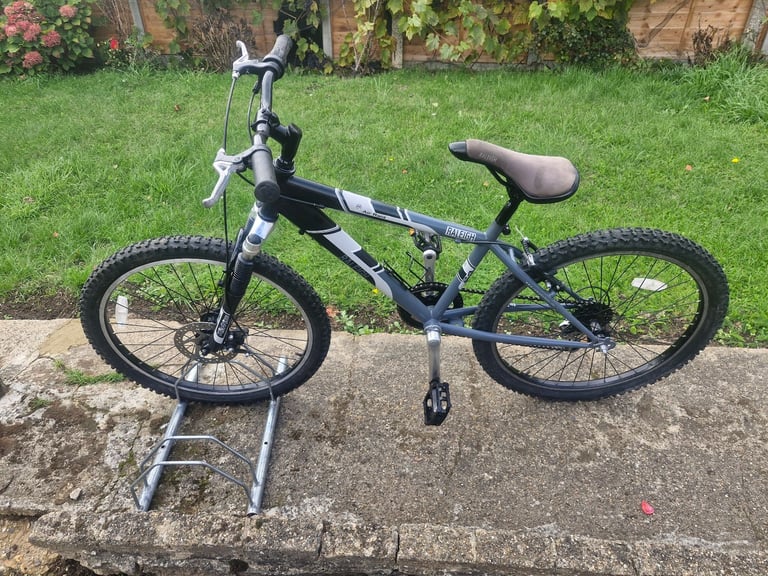 BOYS TEENAGER YOUTH RALEIGH ARI RAID 24 INCH WHEELS 13 INCH FRAME 5 SPEED BIKE BICYCLE