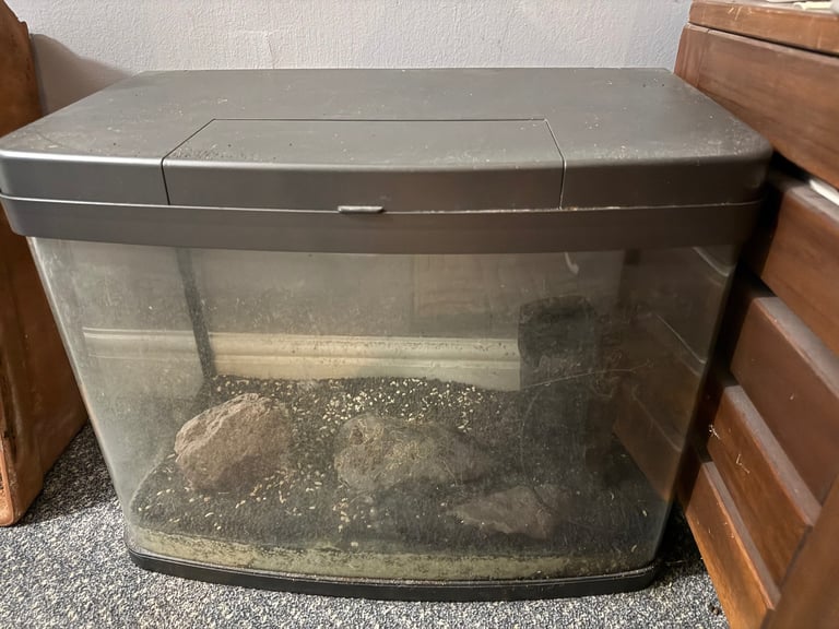 Pets at Home Aquarium