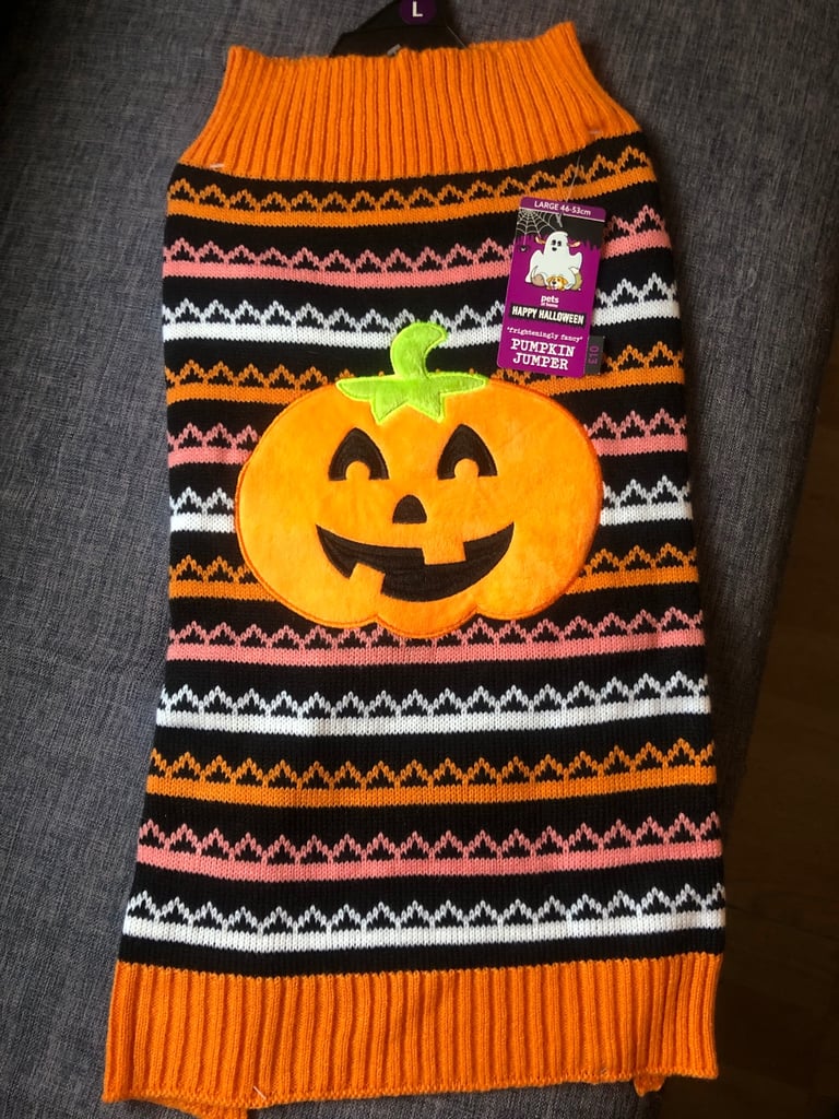 Large Dog Outfit Halloween