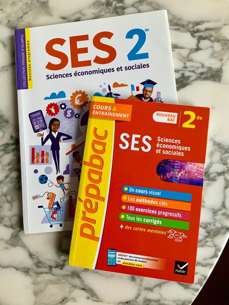 Children’s book in French (more than 80 books at different prices)