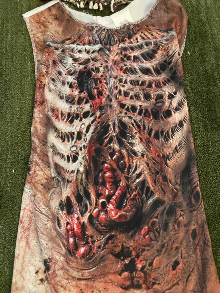 image for Halloween 🎃 walking dead costume