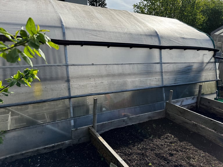 Haygrove polytunnel
