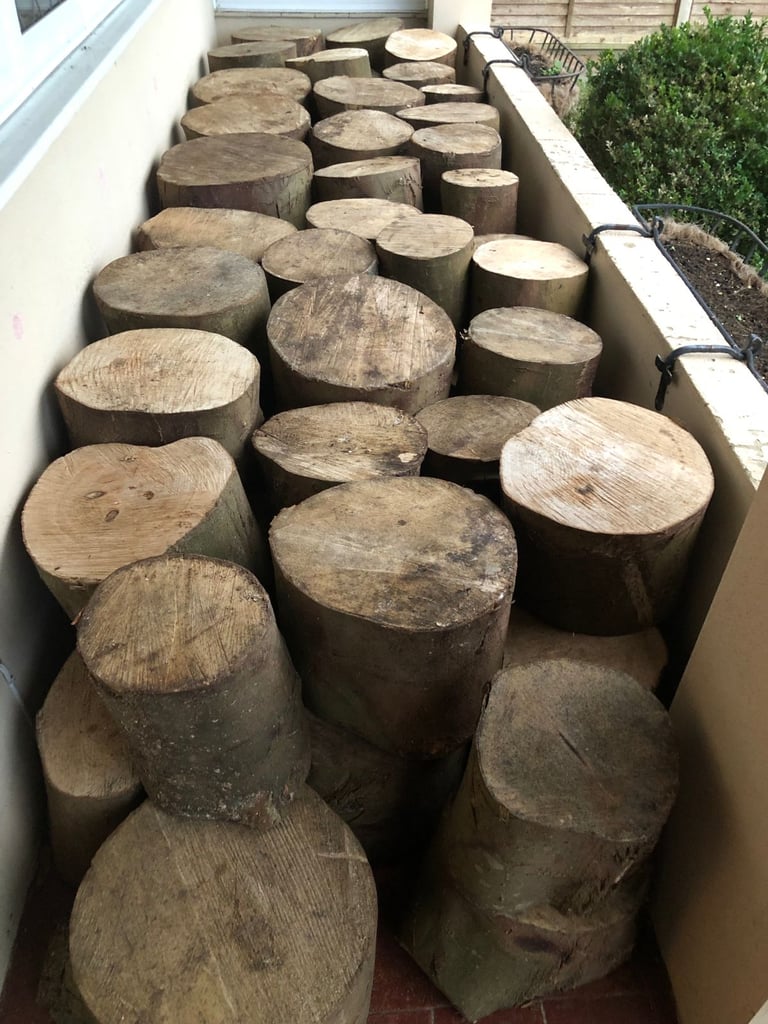 image for Sycamore (Hardwood) From £15 per stump