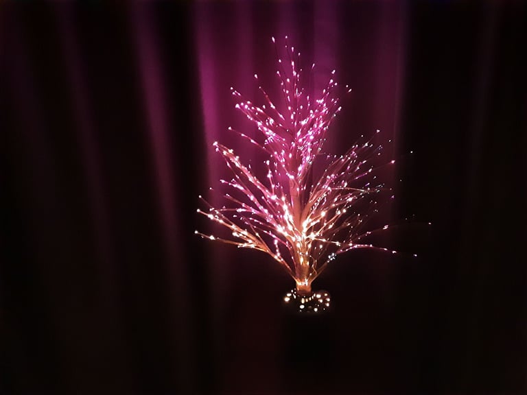 Lovely little Christmas tree