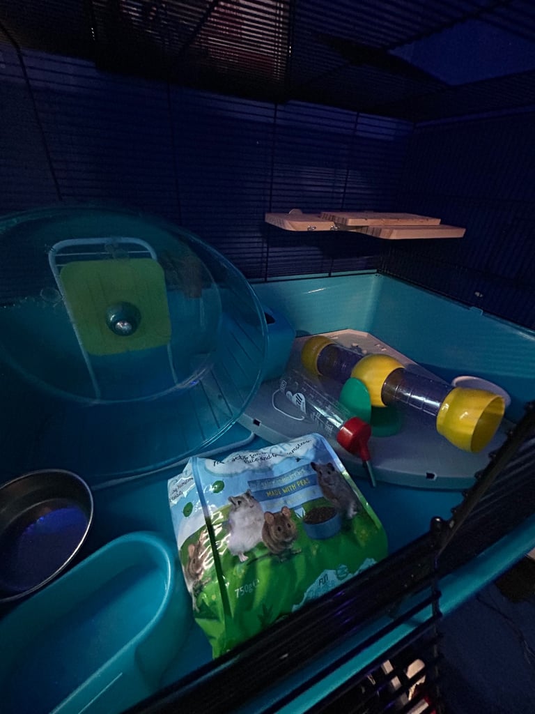 Hamster cage extra large