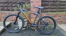 Adult Shwinn mountain bike