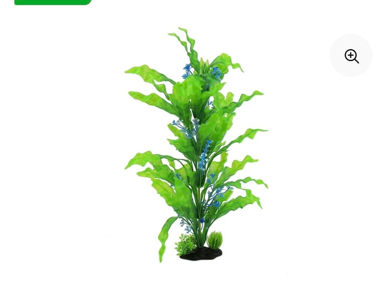 All plants are available for sale just message me which ones you want