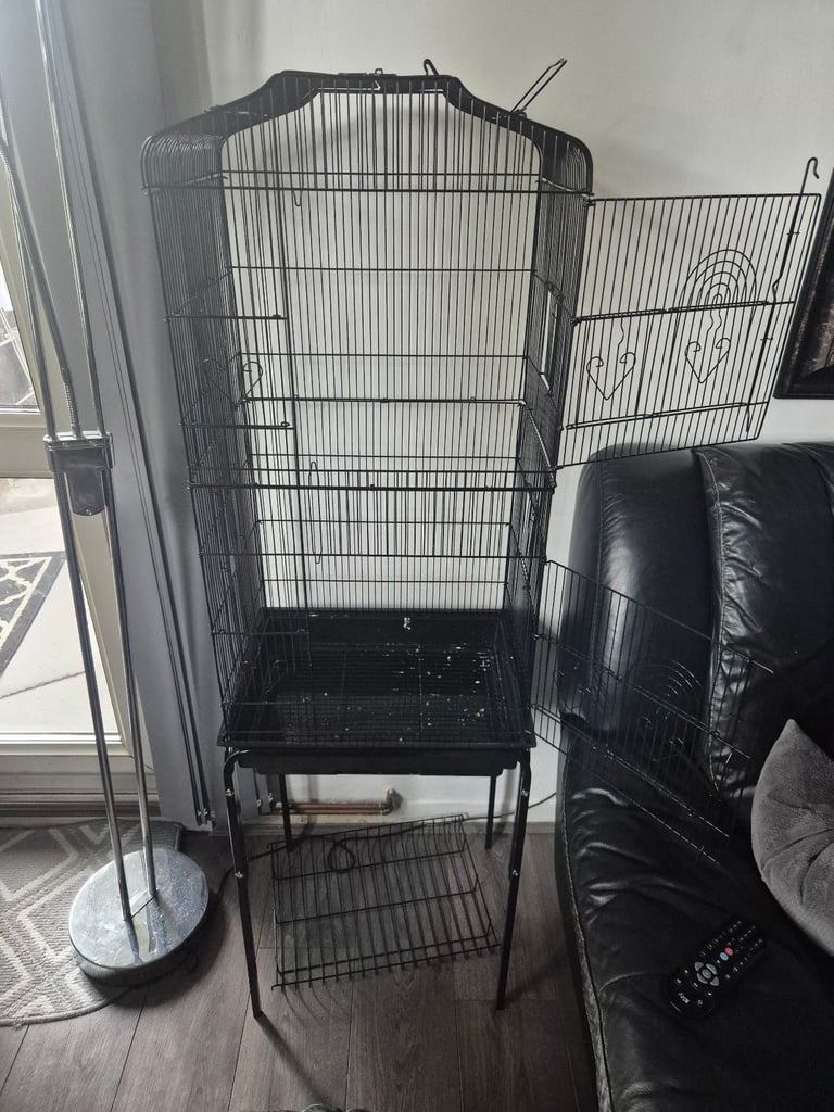 image for Bird cage 