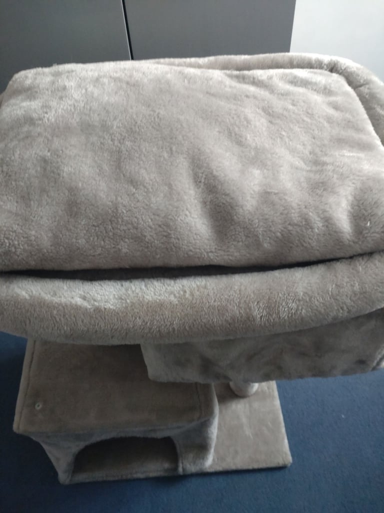 Lovely cats house to play in  ideal for kittens or small cat pick up only 