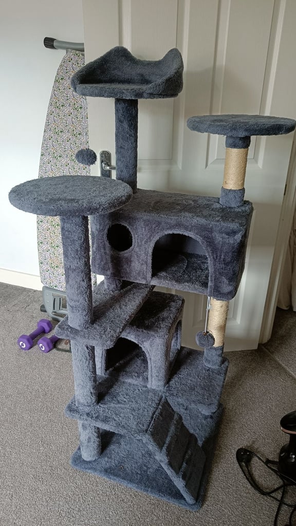 Cat scratching stand play 