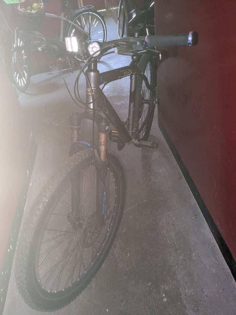 Carrera boys/mens mountain bike