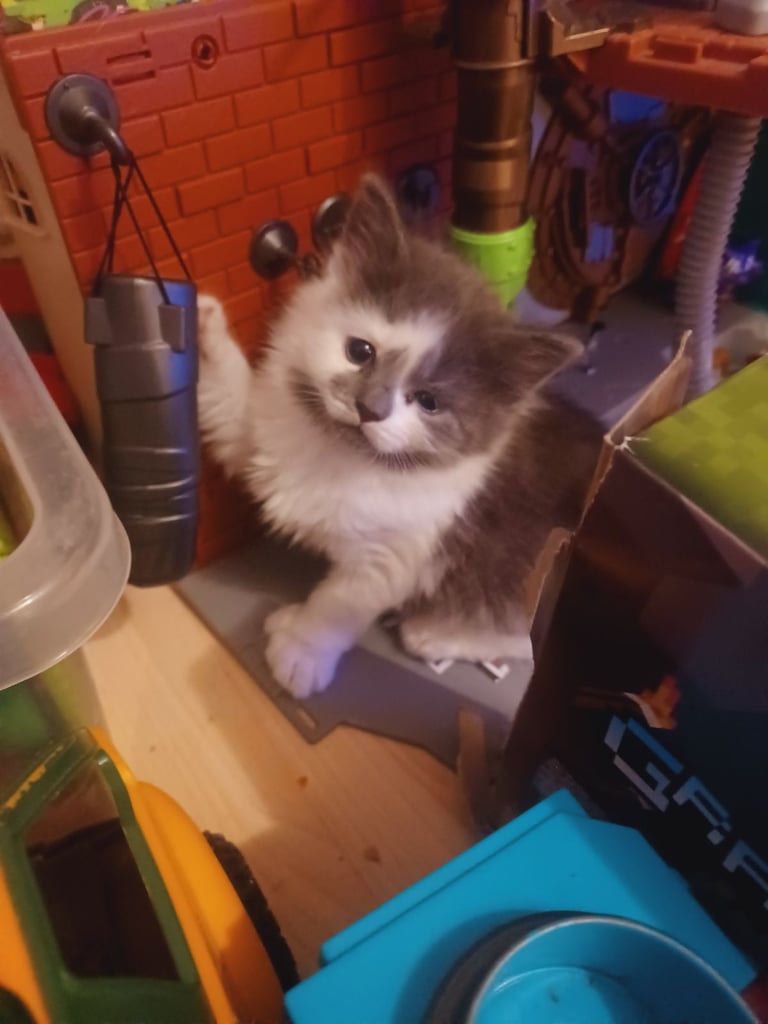 New home needed