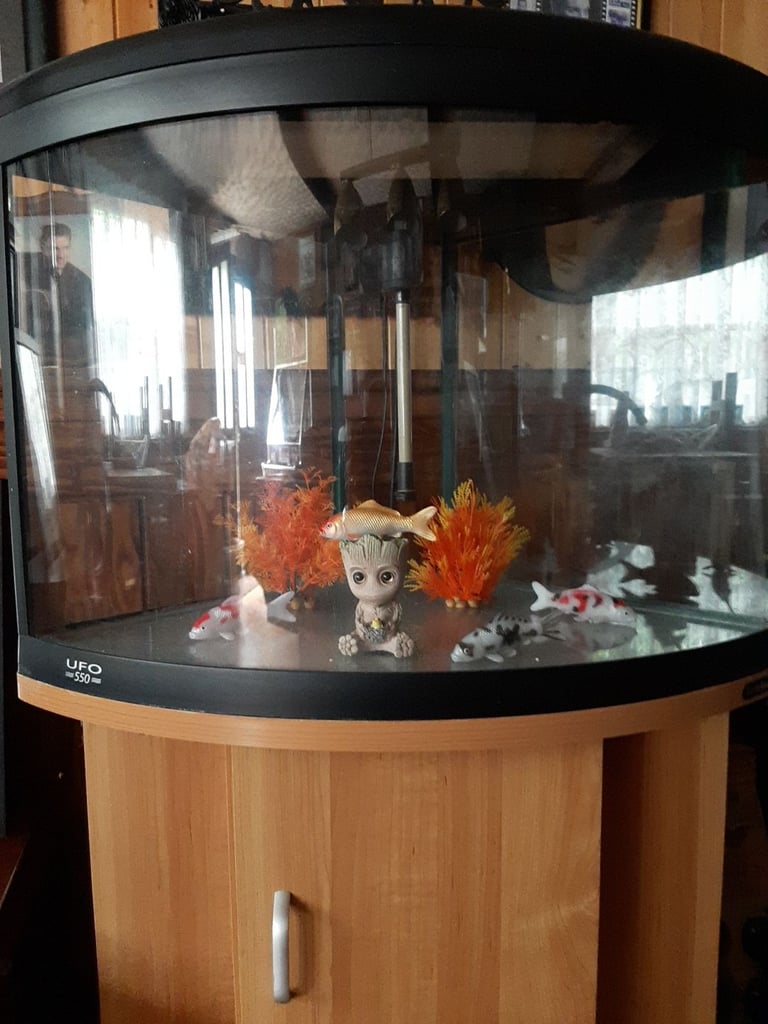 Corner fish tank with cabinet, full set up 