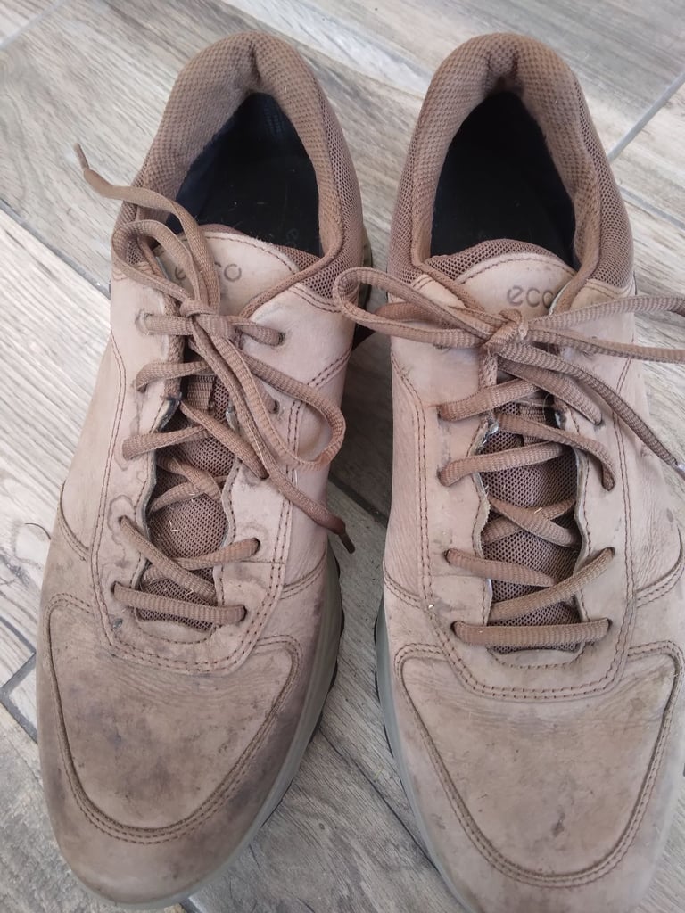 image for Men's Brown ECCO shoes 8 