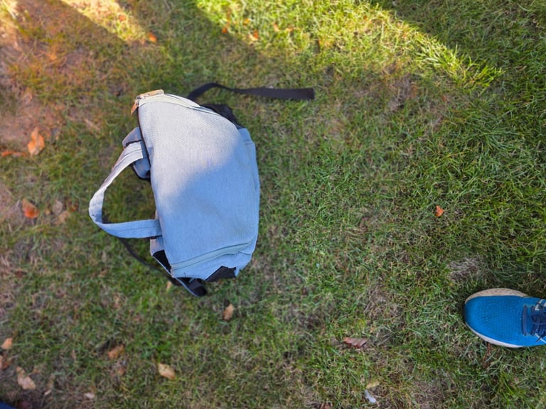 Panorama XT travel system