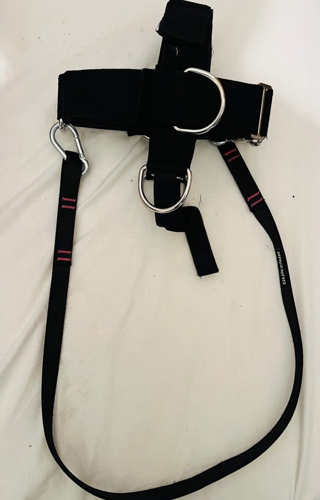Gurzinn Pro Model Neck Harness – Excellent Condition, Minimal Use