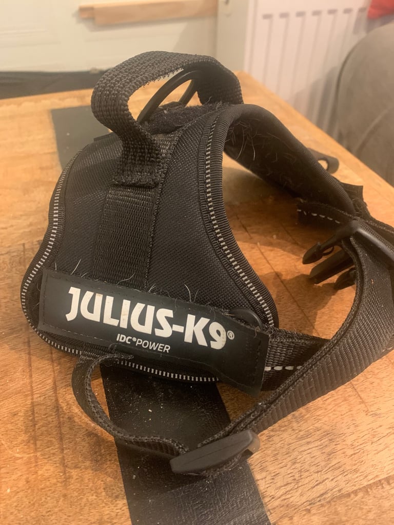 REDUCED JULIUS-K9 harmess small (Jack Russell) size