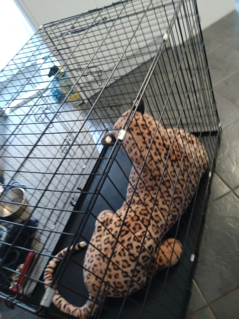 Very large dogs crate  ideal for large breed pick up only 