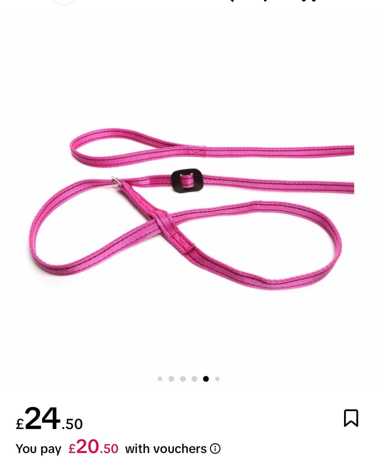 Dog lead 