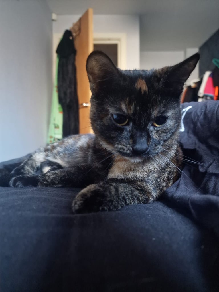 Rehome