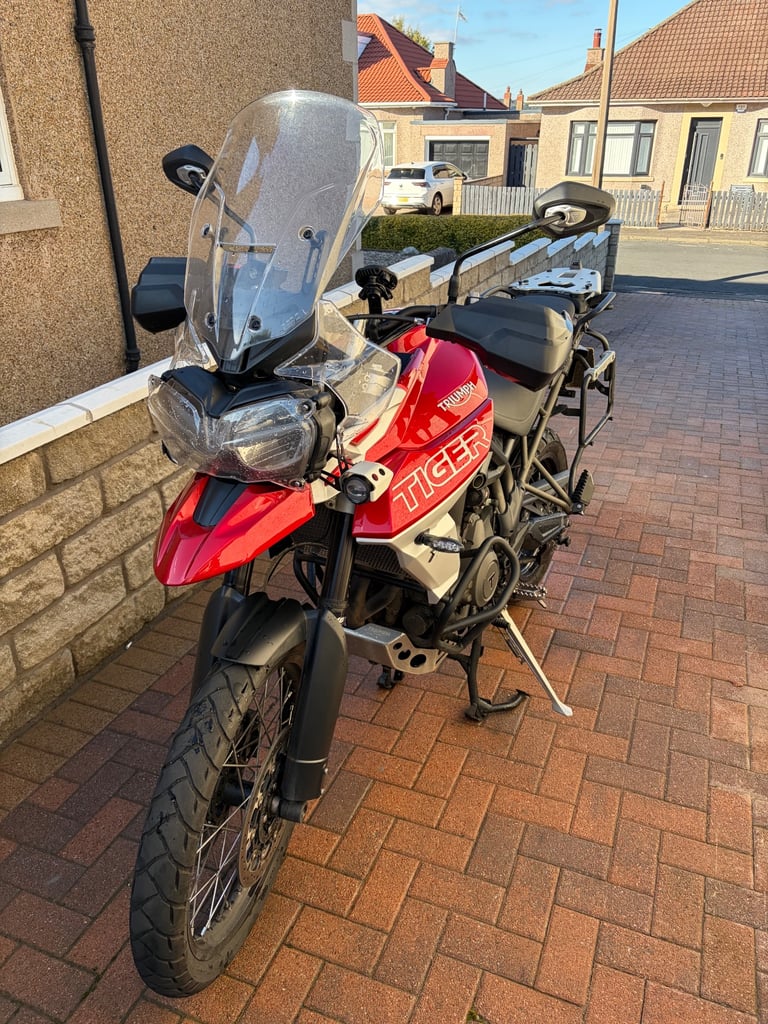 image for Triumph, TIGER, 2018, 800 (cc)