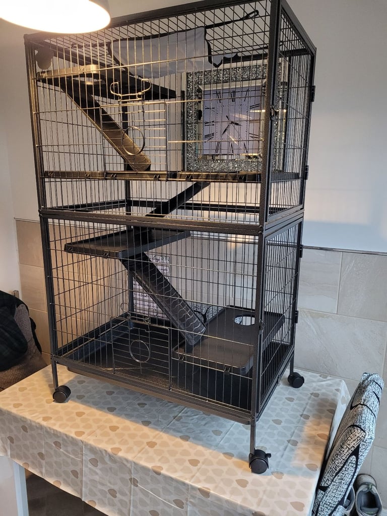 Rodent cage 