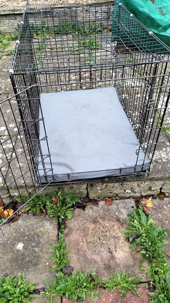 Large dog cage with two opening doors 
