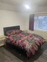 Large double room for rent 