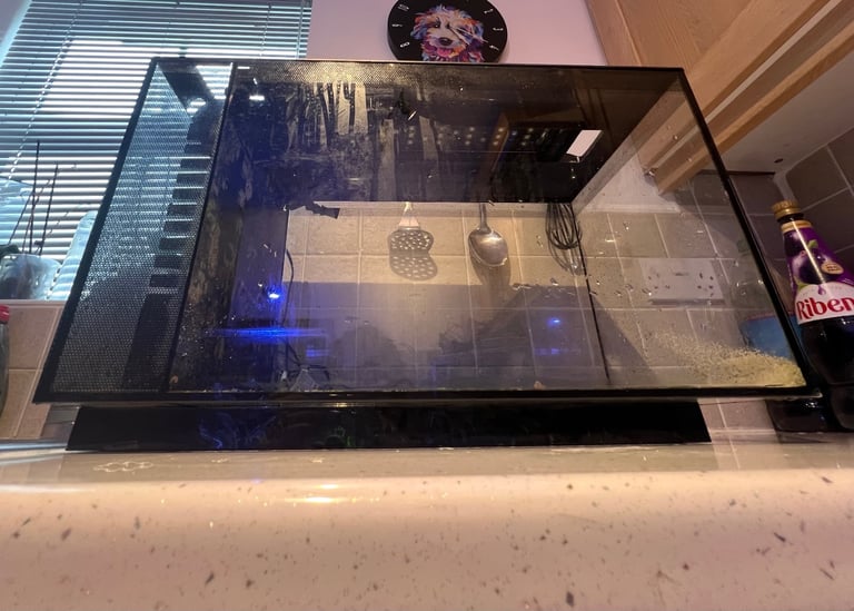 EVO 52L fish tank 