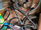 Bikes for sale 