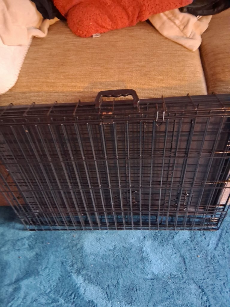 Dog folding cage with base
