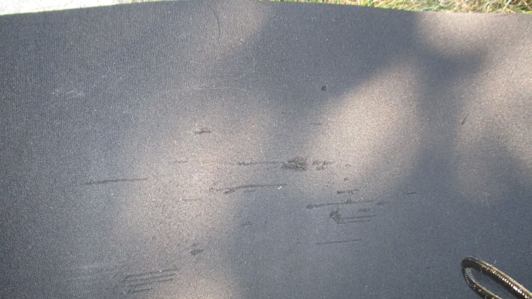 Free WETSUIT/s - excellent thickness/insulation