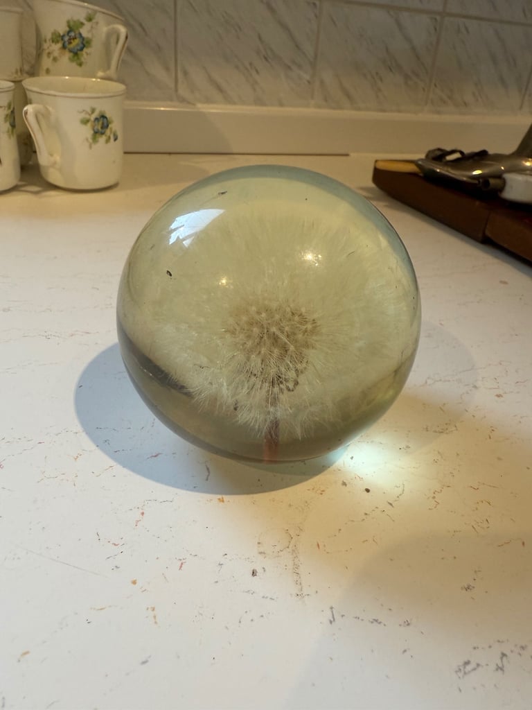 image for Harford Grange Dandelion Paperweight